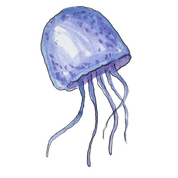 Squid Gaming logo featuring a hand-drawn purple jellyfish with a transparent background.